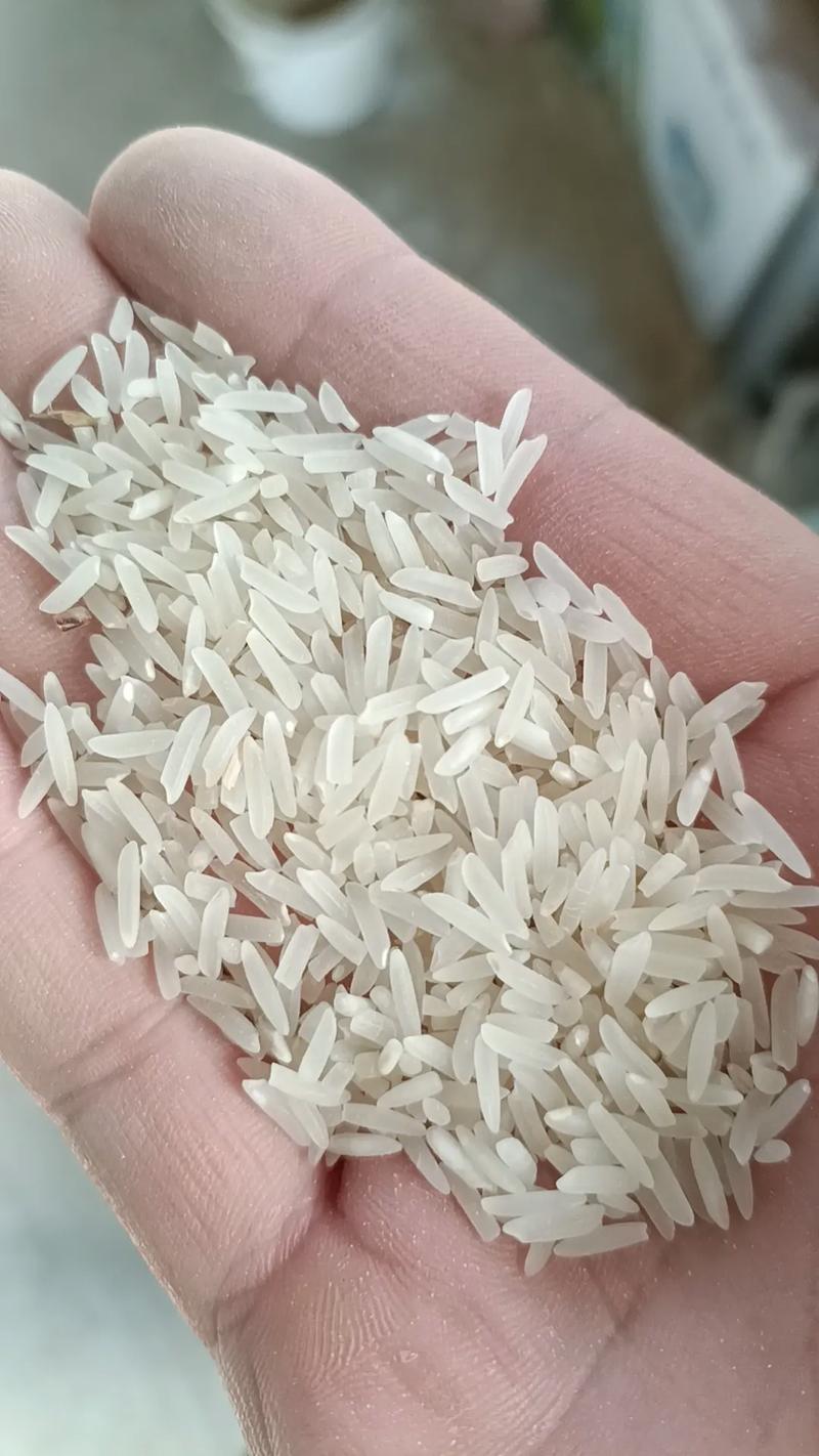 长粒香稻有货，香味浓郁品质佳——粮食收购与大米加工首选